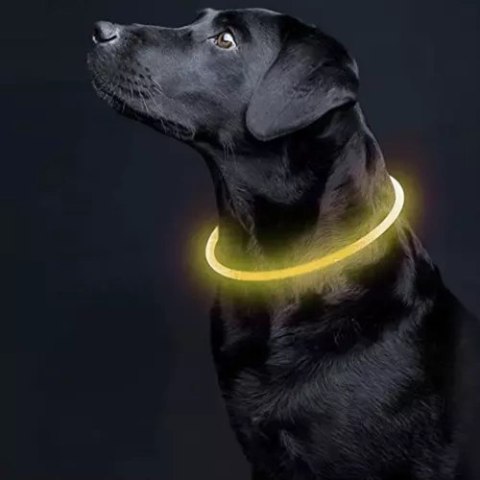 Obroża świecąca LED- regulowana Purlov 21631 Obroża świecąca LED- regulowana Purlov 21631