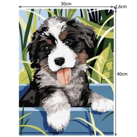Malowanie po numerach 40x30cm- pies Maaleo 22780 Malowanie po numerach 40x30cm- pies Maaleo 22780